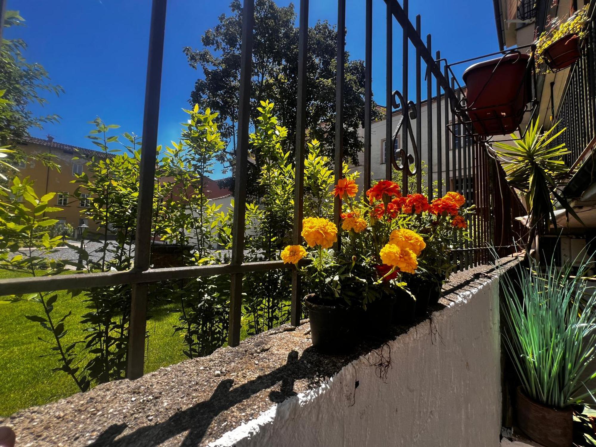 Casa In Pelleria Lejlighed Lucca Eksteriør billede